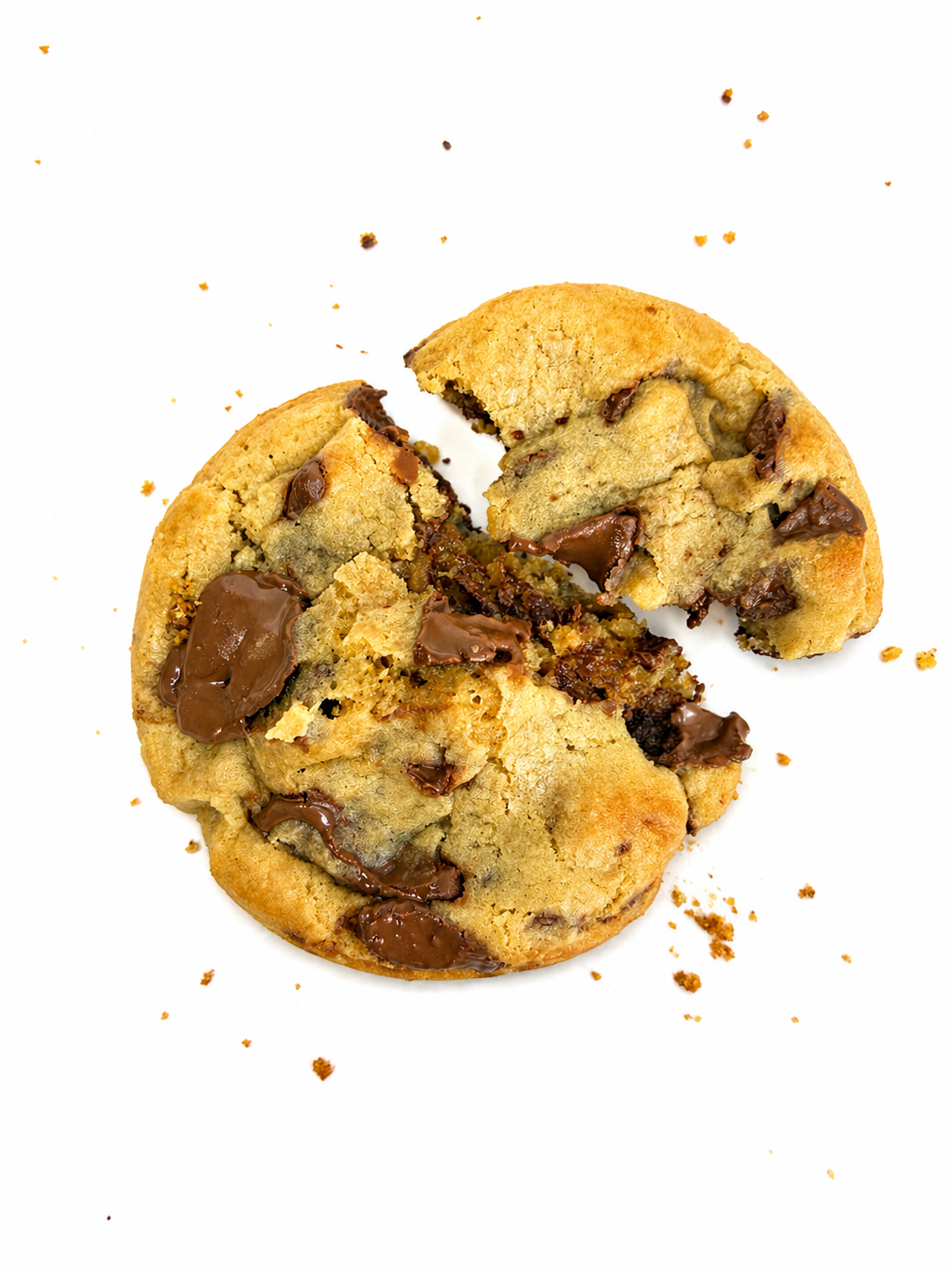 Chocolate Chip Cookie